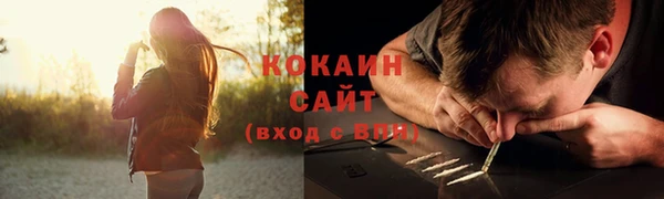 винт Майский
