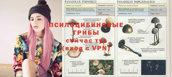 винт Майский