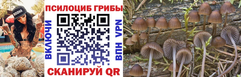 Галлюциногенные грибы Psilocybine cubensis  Кулебаки 