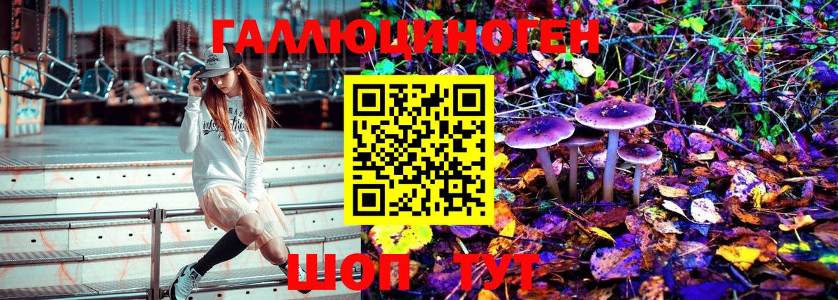 Галлюциногенные грибы мухоморы  Псилоцибиновые грибы Psilocybe  Вход с VPN  Кулебаки 
