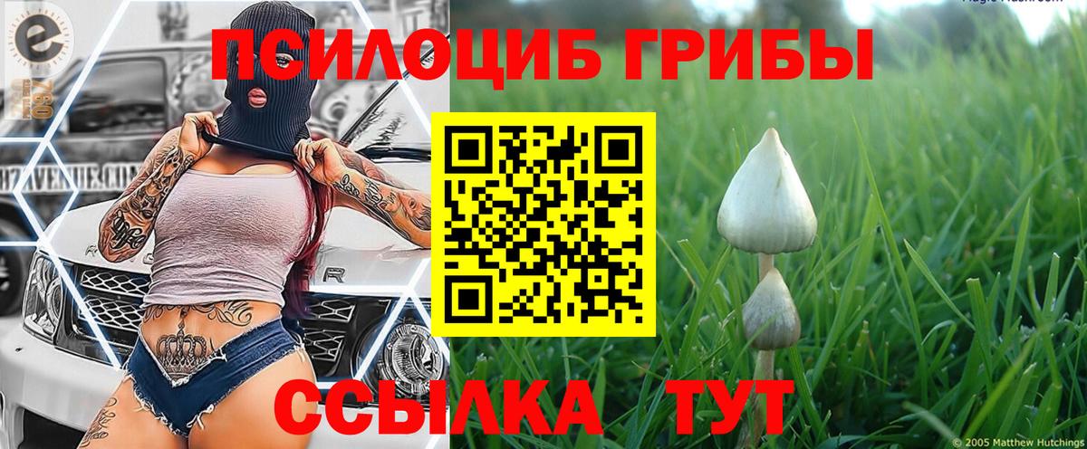 Кулебаки  Мед  Круглые  КОКАИН  Канабис  MDMA  Меф  Плюхи  Гарик  Вход с VPN  Бошки Шишки  Меф  Где купить наркотики? 